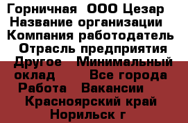 Горничная. ООО Цезар › Название организации ­ Компания-работодатель › Отрасль предприятия ­ Другое › Минимальный оклад ­ 1 - Все города Работа » Вакансии   . Красноярский край,Норильск г.